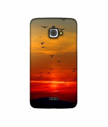 Amazon Brand - Solimo Designer Group Birds 3D Printed Hard Back Case Mobile Cover for InFocus M350