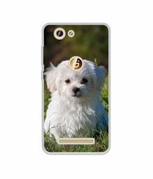 Amazon Brand - Solimo Designer White Dog UV Printed Soft Back Case Mobile Cover for Gionee F103 Pro