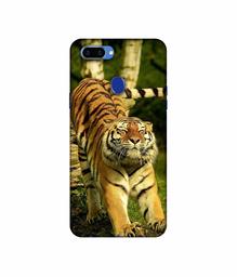 Amazon Brand - Solimo Designer Tiger 3D Printed Hard Back Case Mobile Cover for Oppo A5