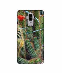 Amazon Brand - Solimo Designer Cactus 3D Printed Hard Back Case Mobile Cover for Huawei Mate 9