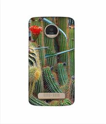 Amazon Brand - Solimo Designer Cactus 3D Printed Hard Back Case Mobile Cover for Motorola Moto Z Play