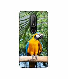 Amazon Brand - Solimo Designer Macaw Bird 3D Printed Hard Back Case Mobile Cover for Nokia 6.1 Plus