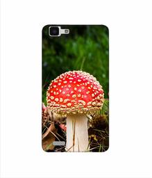 Amazon Brand - Solimo Designer Red Mushroom 3D Printed Hard Back Case Mobile Cover for Vivo Y27L