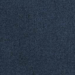 Denim Swatch, Rivet