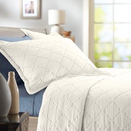 Pinzon 100-Percent Stone Washed Cotton Diamond Matelasse Coverlet, Twin, Ivory