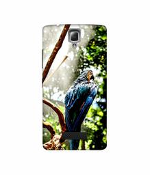 Amazon Brand - Solimo Designer Macaw Parrot 3D Printed Hard Back Case Mobile Cover for Lenovo A2010