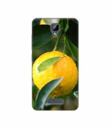 Amazon Brand - Solimo Designer Lemon 3D Printed Hard Back Case Mobile Cover for Gionee P7 Max