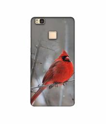 Amazon Brand - Solimo Designer Red Engry Bird 3D Printed Hard Back Case Mobile Cover for Huawei P9 lite