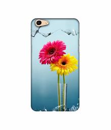 Amazon Brand - Solimo Designer Sun Flower 3D Printed Hard Back Case Mobile Cover for Oppo F3