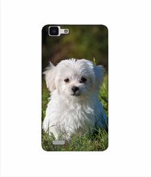 Amazon Brand - Solimo Designer White Dog 3D Printed Hard Back Case Mobile Cover for Vivo Y27L