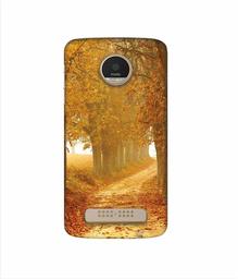 Amazon Brand - Solimo Designer Autumn Scene 3D Printed Hard Back Case Mobile Cover for Motorola Moto Z Play