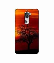 Amazon Brand - Solimo Designer Nature View 3D Printed Hard Back Case Mobile Cover for Coolpad Cool1 Dual