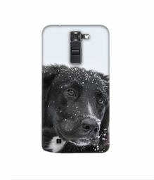 Amazon Brand - Solimo Designer Labrador Dog 3D Printed Hard Back Case Mobile Cover for LG K7