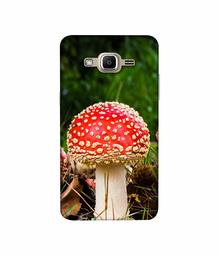 Amazon Brand - Solimo Designer Red Mushroom 3D Printed Hard Back Case Mobile Cover for Samsung Galaxy J2 Prime