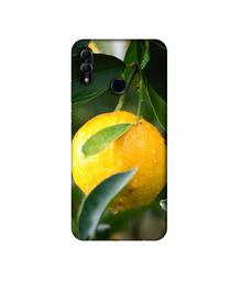 Amazon Brand - Solimo Designer Lemon 3D Printed Hard Back Case Mobile Cover for Honor 10 Lite