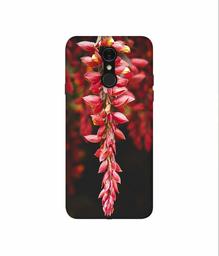 Amazon Brand - Solimo Designer Flowers Photograpy 3D Printed Hard Back Case Mobile Cover for LG Q7