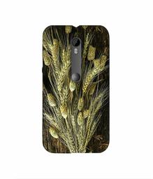 Amazon Brand - Solimo Designer Wheat Plants 3D Printed Hard Back Case Mobile Cover for Motorola Moto G 3rd Generation