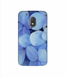 Amazon Brand - Solimo Designer Light Blue Flower Photography 3D Printed Hard Back Case Mobile Cover for Motorola Moto G4 Play