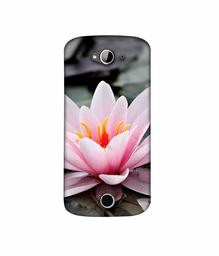 Amazon Brand - Solimo Designer Lotus 3D Printed Hard Back Case Mobile Cover for Acer Liquid Z530