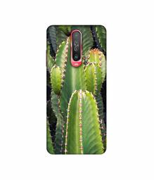 Amazon Brand - Solimo Designer Desert Plant 3D Printed Hard Back Case Mobile Cover for Poco X2 / Mi Redmi K30