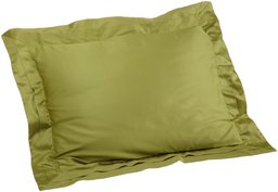 Pinzon Hotel Banded 100-Percent Egyptian Cotton Sateen 20-By-36-Inch King Sham, Apple Green