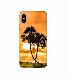 Amazon Brand - Solimo Designer SunSide View 3D Printed Hard Back Case Mobile Cover for Apple iPhone Xs Max