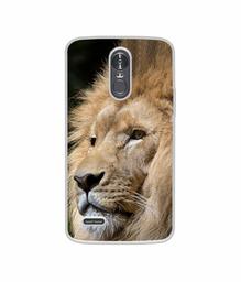 Amazon Brand - Solimo Designer Lion UV Printed Soft Back Case Mobile Cover for LG Stylus 3