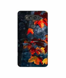 Amazon Brand - Solimo Designer Autumn Leaf 3D Printed Hard Back Case Mobile Cover for LG V20