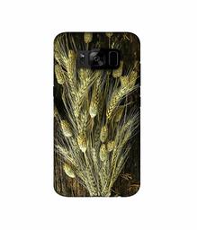 Amazon Brand - Solimo Designer Wheat Plants 3D Printed Hard Back Case Mobile Cover for Samsung Galaxy S8 Plus