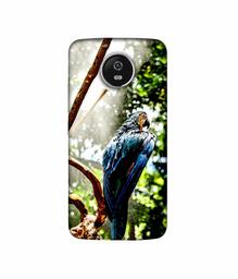 Amazon Brand - Solimo Designer Macaw Parrot 3D Printed Hard Back Case Mobile Cover for Motorola Moto G5