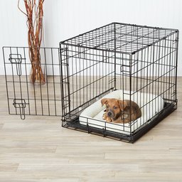 AmazonBasics Single-Door Dog Crate and Padded Bolster Bed - Small