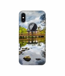 Amazon Brand - Solimo Designer Pebbles 3D Printed Hard Back Case Mobile Cover for Apple iPhone Xs Max (Logo Cut)