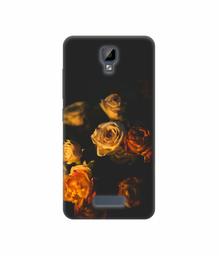 Amazon Brand - Solimo Designer Roses 3D Printed Hard Back Case Mobile Cover for Gionee P7 Max