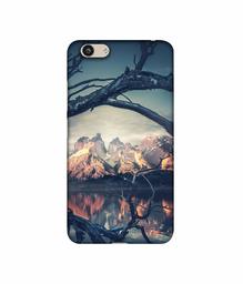 Amazon Brand - Solimo Designer Tree Reflextion 3D Printed Hard Back Case Mobile Cover for Vivo Y53