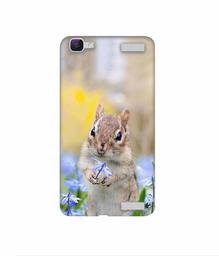 Amazon Brand - Solimo Designer Squirrel 3D Printed Hard Back Case Mobile Cover for Vivo V1 Max