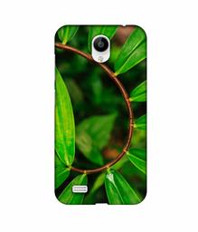 Amazon Brand - Solimo Designer Leaf Photography 3D Printed Hard Back Case Mobile Cover for Vivo Y21L