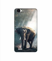 Amazon Brand - Solimo Designer Elephant 3D Printed Hard Back Case Mobile Cover for Vivo Y27L