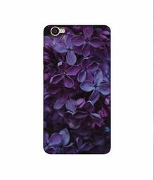 Amazon Brand - Solimo Designer Purple Flowers 3D Printed Hard Back Case Mobile Cover for Vivo Y55L