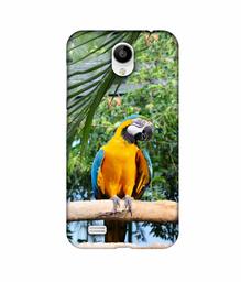 Amazon Brand - Solimo Designer Macaw Bird 3D Printed Hard Back Case Mobile Cover for Vivo Y21L