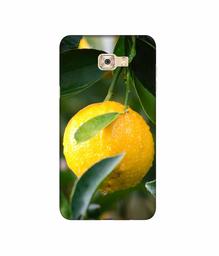 Amazon Brand - Solimo Designer Lemon 3D Printed Hard Back Case Mobile Cover for Samsung Galaxy C7 Pro