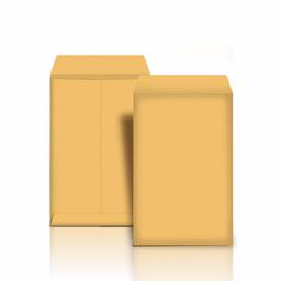 AmazonBasics enveloppe Kraft Brun, Peel et joint 6 x 9 (Royaume-Uni) 250-Pack Brown Kraft