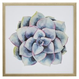 Amazon Brand – Stone & Beam Modern Blue and Purple Succulent Plant Print II Wall Art Decor - 20