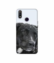 Amazon Brand - Solimo Designer Labrador Dog 3D Printed Hard Back Case Mobile Cover for Realme 3 Pro