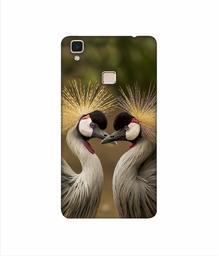 Amazon Brand - Solimo Designer Birds 3D Printed Hard Back Case Mobile Cover for Vivo V3 Max