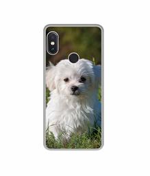 Amazon Brand - Solimo Designer White Dog UV Printed Soft Back Case Mobile Cover for Mi Redmi Note 5 Pro