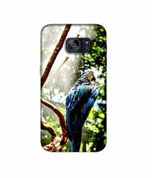 Amazon Brand - Solimo Designer Macaw Parrot 3D Printed Hard Back Case Mobile Cover for Samsung Galaxy S7 Edge