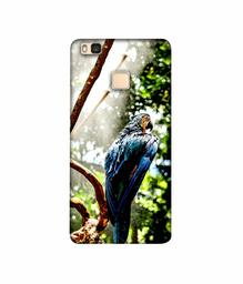 Amazon Brand - Solimo Designer Macaw Parrot 3D Printed Hard Back Case Mobile Cover for Huawei P9 lite