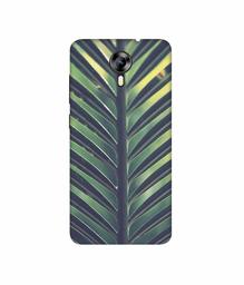 Amazon Brand - Solimo Designer Leaf Texture 3D Printed Hard Back Case Mobile Cover for Micromax Canvas Xpress 2 E313