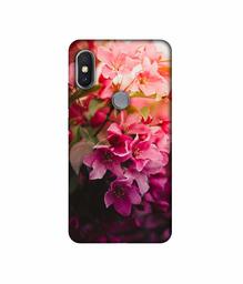 Amazon Brand - Solimo Designer Blossom Weather UV Printed Soft Back Case Mobile Cover for Mi Redmi Y2