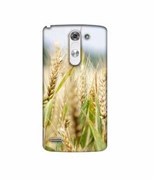 Amazon Brand - Solimo Designer Wheat Plant 3D Printed Hard Back Case Mobile Cover for LG G3 Stylus D690